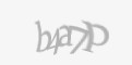 Защитный код