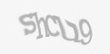 Защитный код