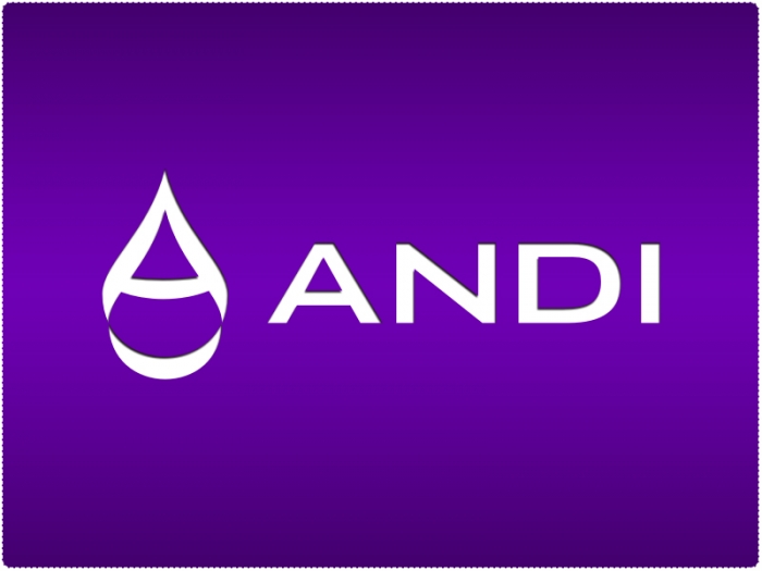 Interface design for the new CMS ANDI