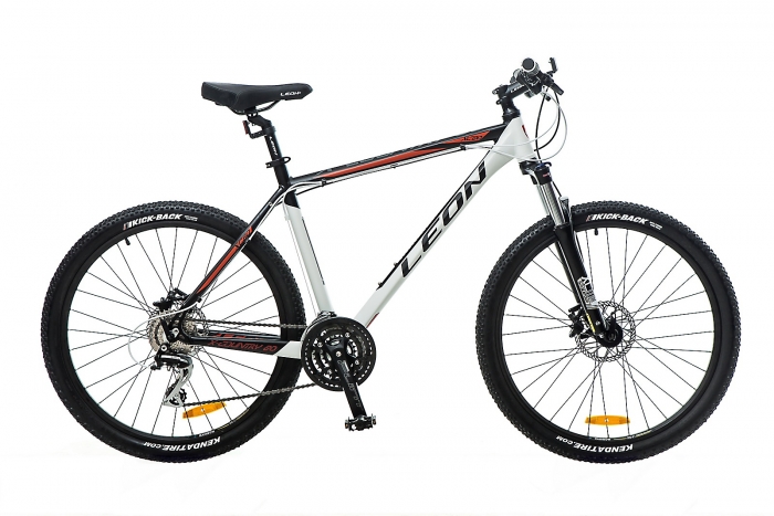 Design of new luxury models of bicycles