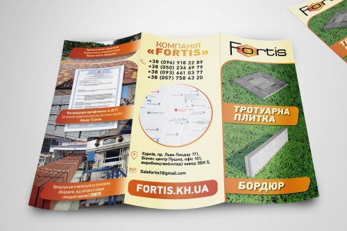 Дизайн флаера Fortis